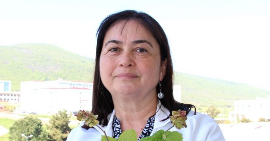 Fındık üreticisine 'kozalak akarı' uyarısı Fındık üreticisine 'kozalak akarı' uyarısı
