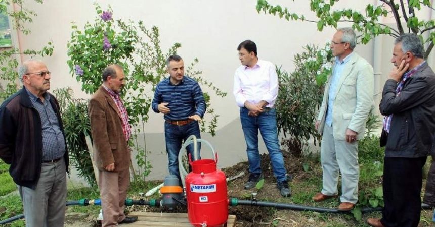 Susuzluk, fındıkta stres yapıyor Susuzluk, fındıkta stres yapıyor