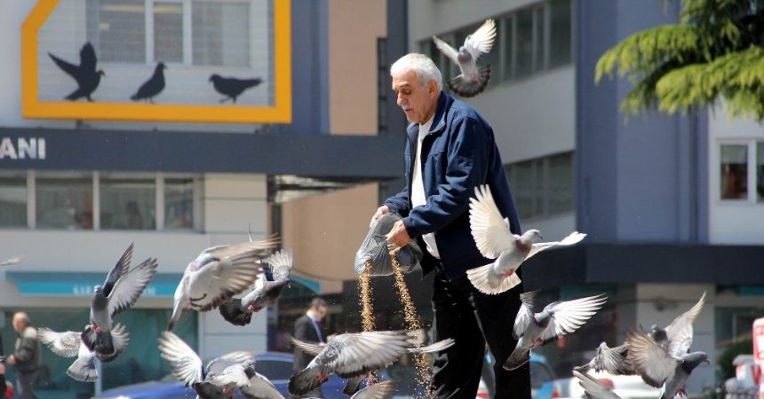 Güvercinlerin Ali amcası 