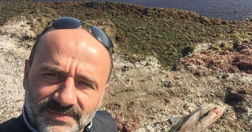 Fatsa’da ölü yunus karaya vurdu