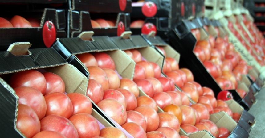 Nisan’da şampiyon domates Nisan’da şampiyon domates