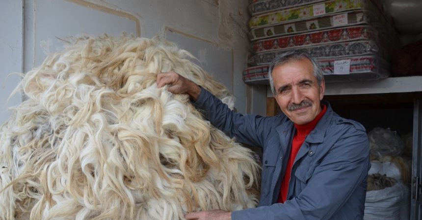 Koyun yününe ilgi azaldı Koyun yününe ilgi azaldı