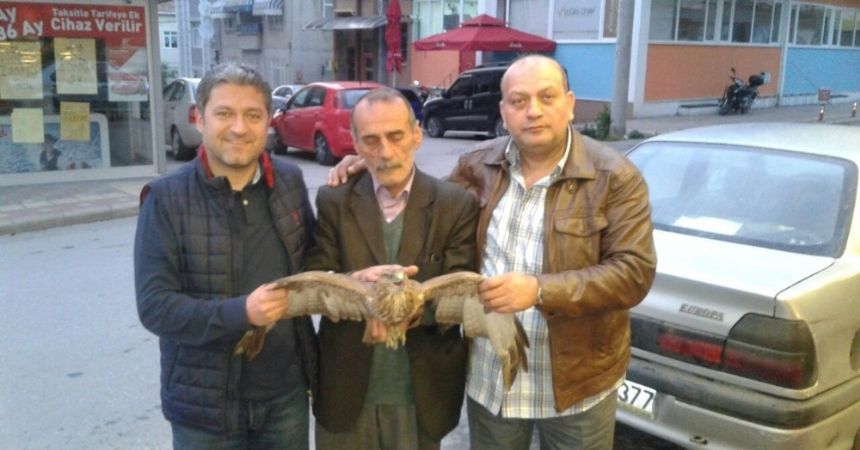 Yaralı kartal tedavi altına alındı