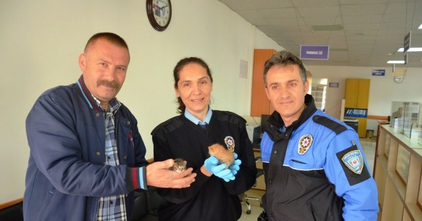 Yavru kedilere polis şefkati