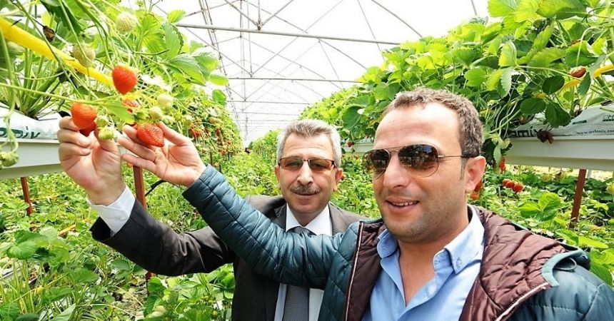 Hobisini ticarete dönüştürdü Hobisini ticarete dönüştürdü