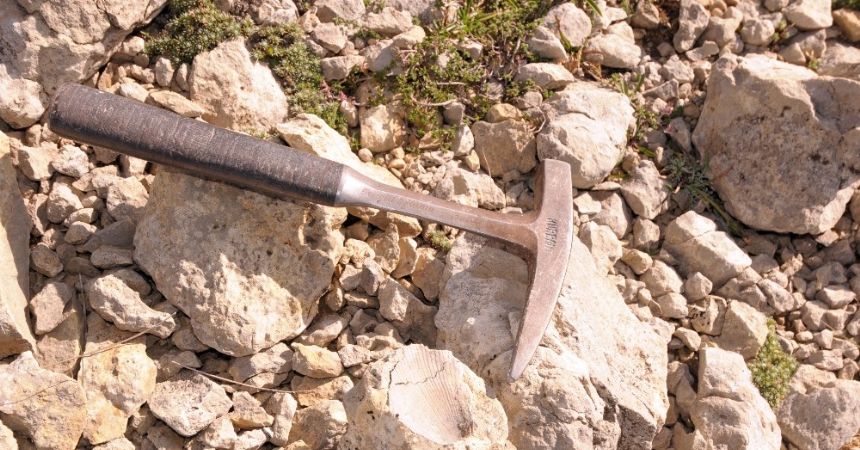 Ilgaz Dağı'nda 60 milyon yıllık deniz fosili