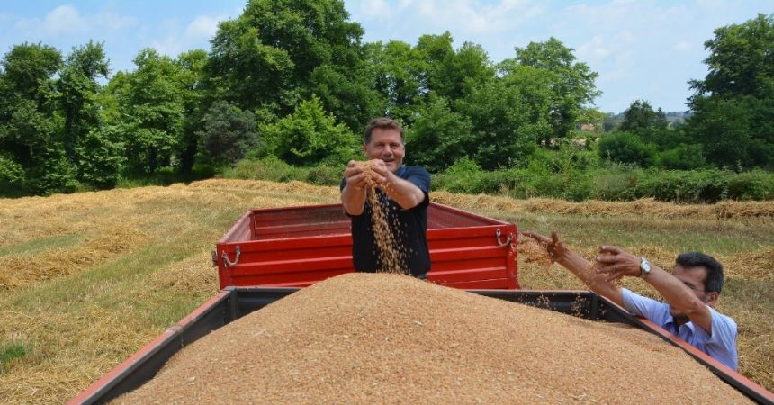 Hasat iyi fiyat kötü Hasat iyi fiyat kötü