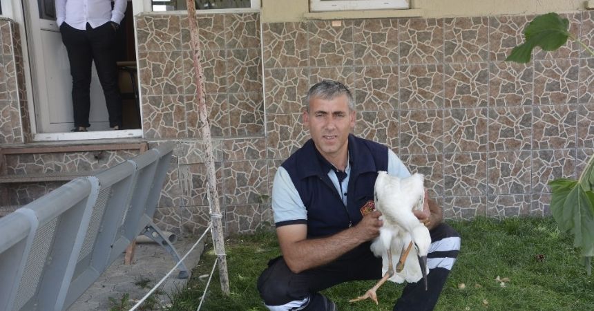 Yavru leyleğe itfaiye sahip çıktı