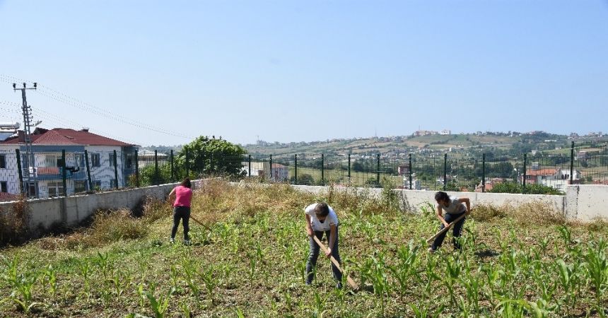 Engelli çocuklar için tarımsal çalışma başlatıldı