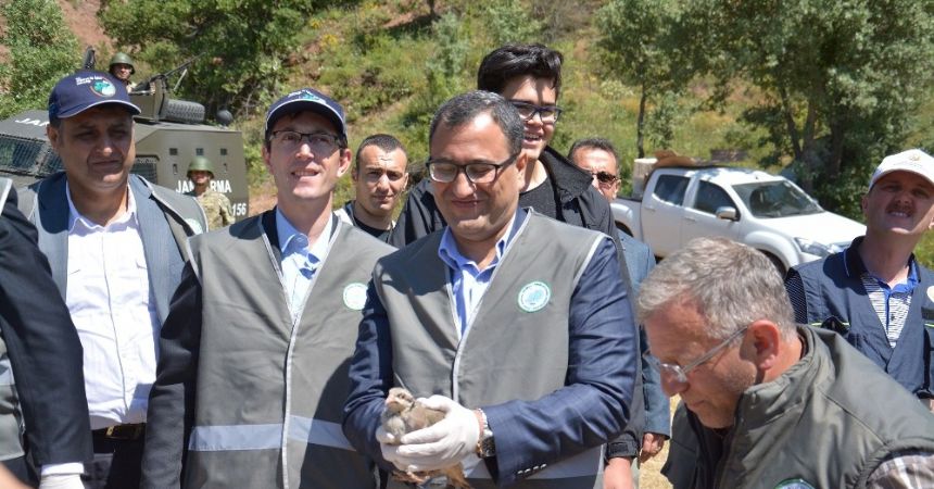 Doğaya 25 bin kınalı keklik salındı