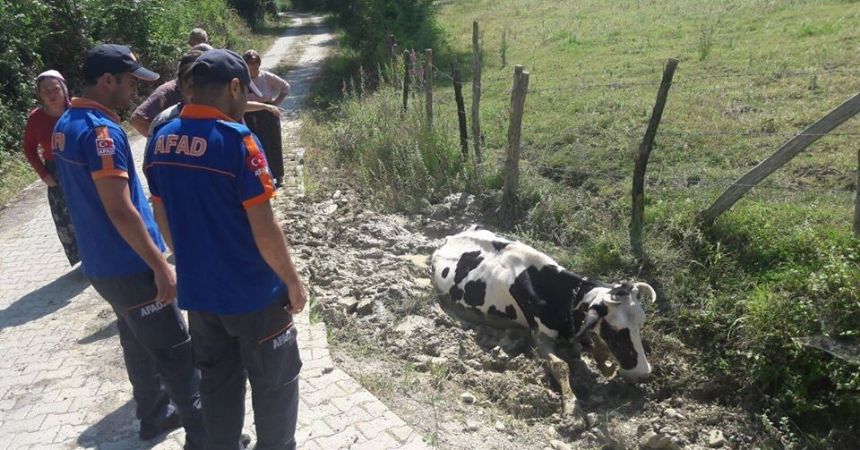 AFAD inek için seferber oldu