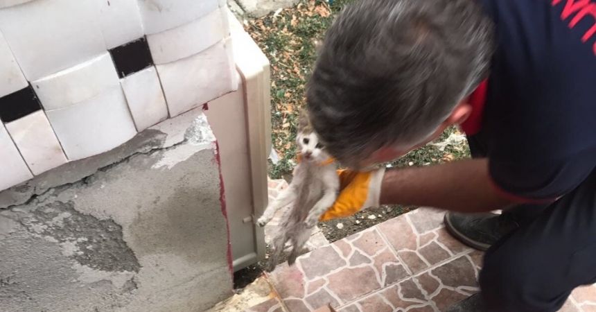 İtfaiye yaralı kediye sahip çıktı