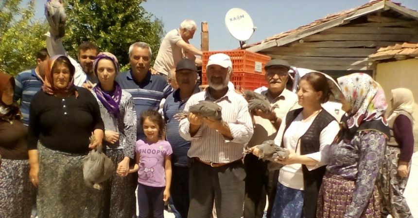 Doğaya kınalı keklik ve sülün salındı
