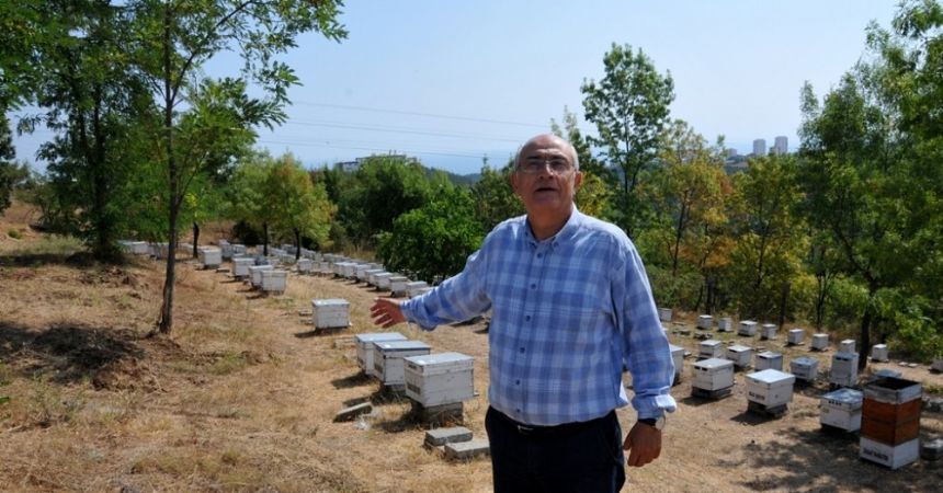 Saf bal üretiminde rekor Saf bal üretiminde rekor