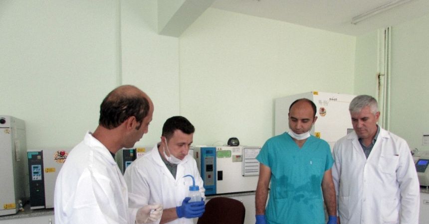 Türkiye'de ilk kez hayvanlara gebelik testi Türkiye'de ilk kez hayvanlara gebelik testi