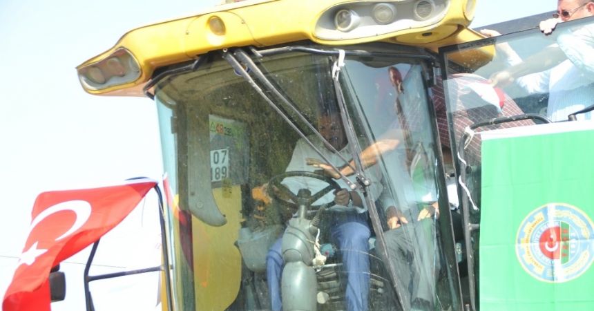 Bafra Ovası 2. Çeltik Hasat Şenliği yapıldı Bafra Ovası 2. Çeltik Hasat Şenliği yapıldı