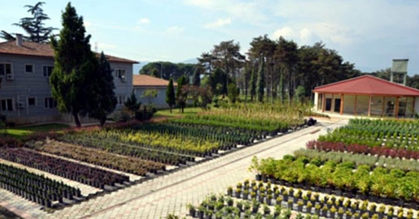 Samsun’da bu yıl 4,8 milyon fidan üretildi
