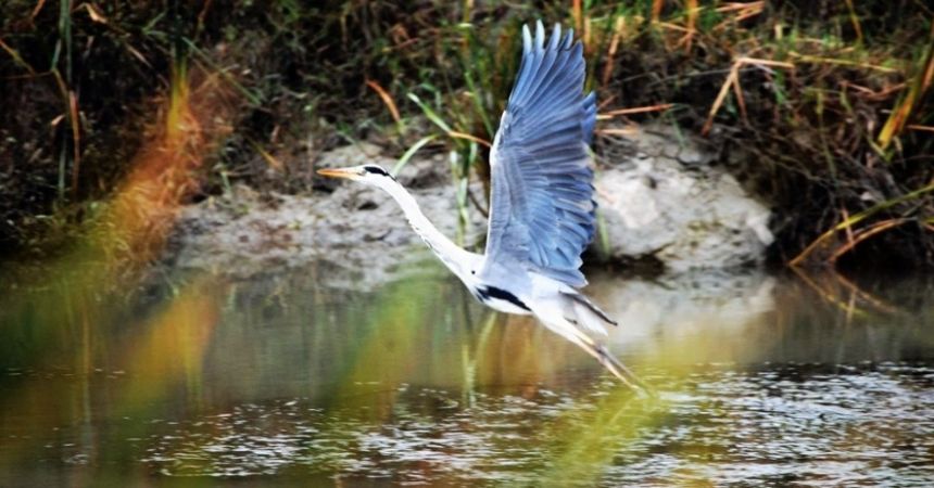 Foto safariye büyük ilgi Foto safariye büyük ilgi