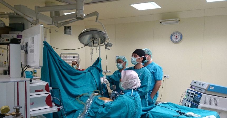 Dünyada ikinci kez Samsun’da rastlandı Dünyada ikinci kez Samsun’da rastlandı