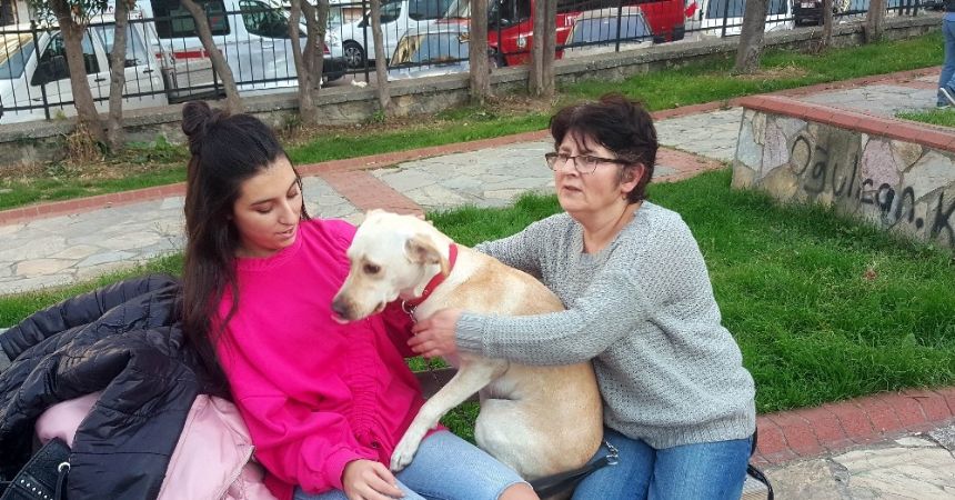 'Köpeğimi yangından kurtarın'