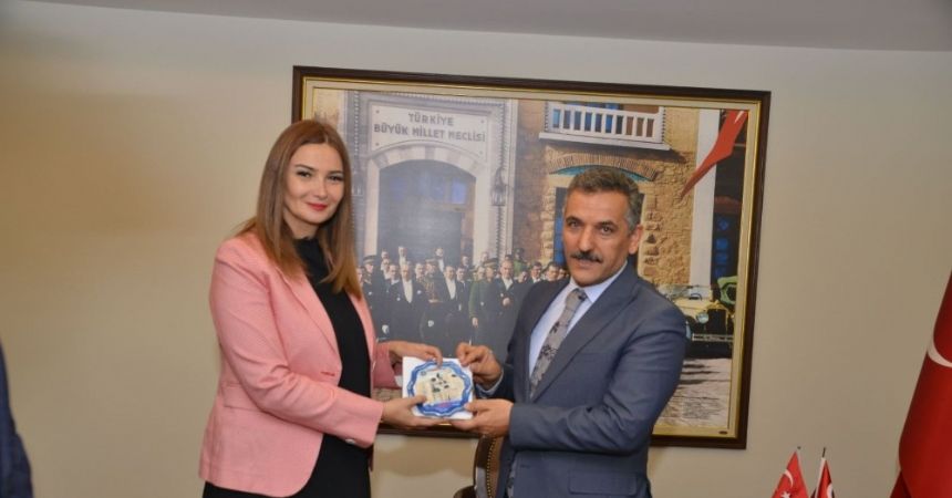 Paşayeva’dan 100 yılın projesine övgü