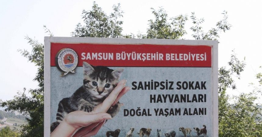 Büyükşehir Belediyesi örnek oldu