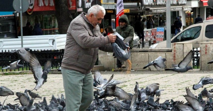 Sokak güvercinlerini her gün elleriyle besliyor