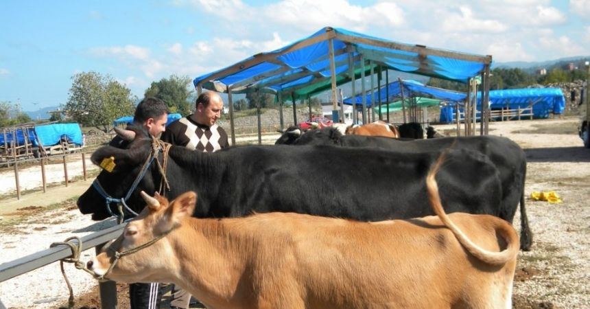 Besiciler devletten destek istiyor Besiciler devletten destek istiyor