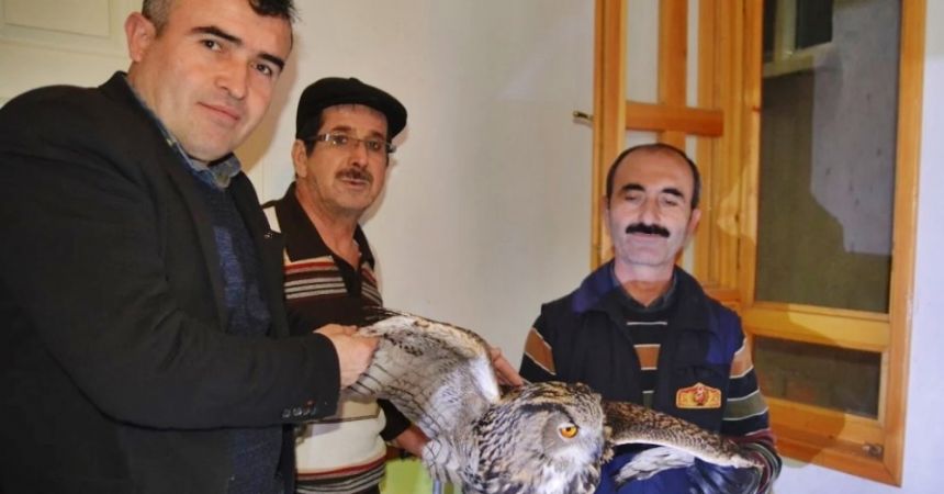 Havalandırma boşluğuna düşen baykuşu itfaiye kurtardı