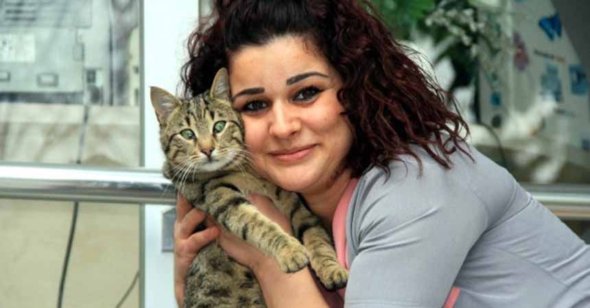 Sağlık çalışanları kedilere sahip çıktı