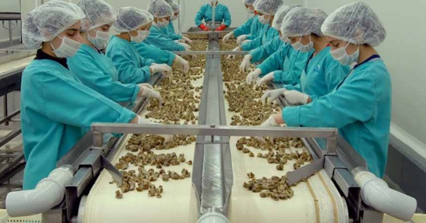 Samsun, 23 milyon dolarlık hayvansal ürün ihraç etti