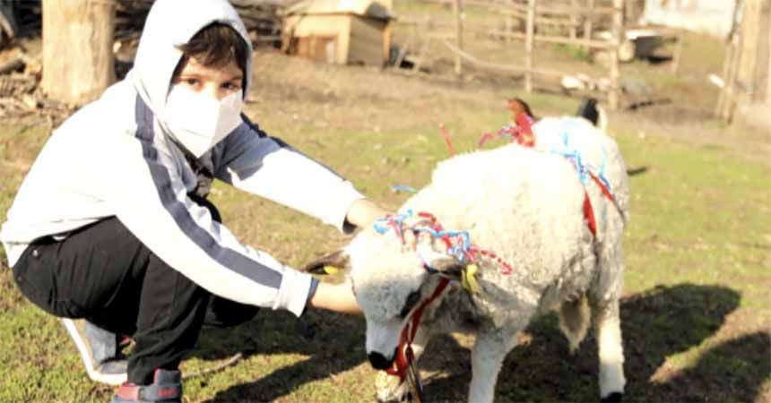 Arda'nın kuzu hayali gerçekleşti