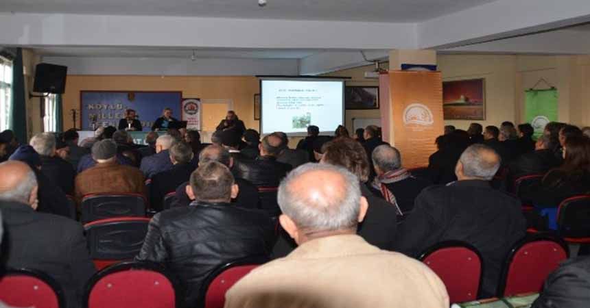 Bafra’da fındık yetiştirme teknikleri anlatıldı