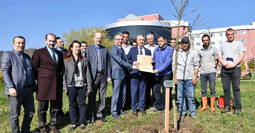 OMÜ, bir yılda 454 fidana can verdi