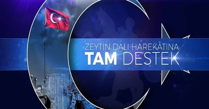 OMÜ Senatosu'ndan 'Zeytindalı'na tam destek