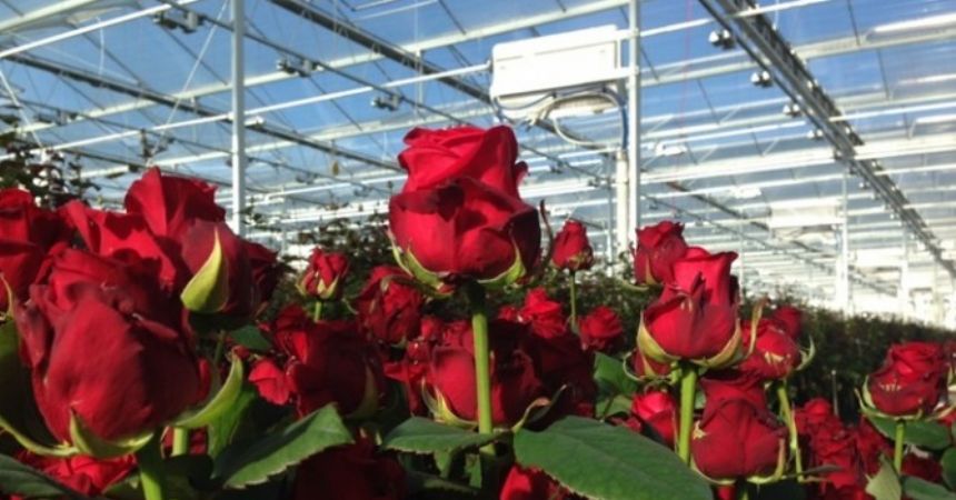 Sevgililer Günü'nden 10 milyar lira