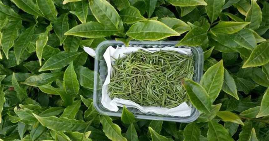 Karadeniz'de üretildi... Kilosu 4 bin 500 TL! Karadeniz'de üretildi... Kilosu 4 bin 500 TL!
