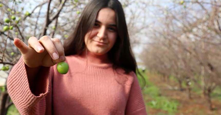 Yılın ilk eriğinin tanesi 12,5 lira Yılın ilk eriğinin tanesi 12,5 lira
