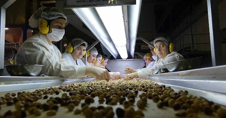 Ordu’dan ihracat rekoru Ordu’dan ihracat rekoru
