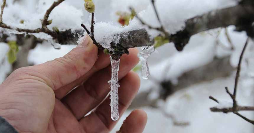 Meteoroloji'den 'don' uyarısı