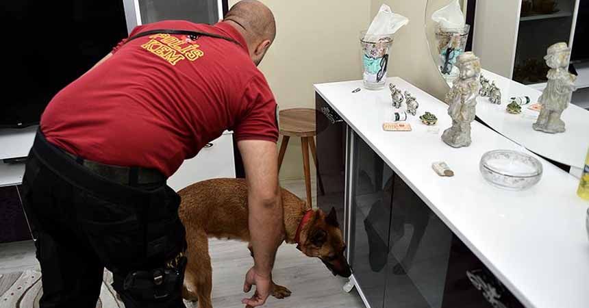 'Koku, delil olarak kullanılmalı'