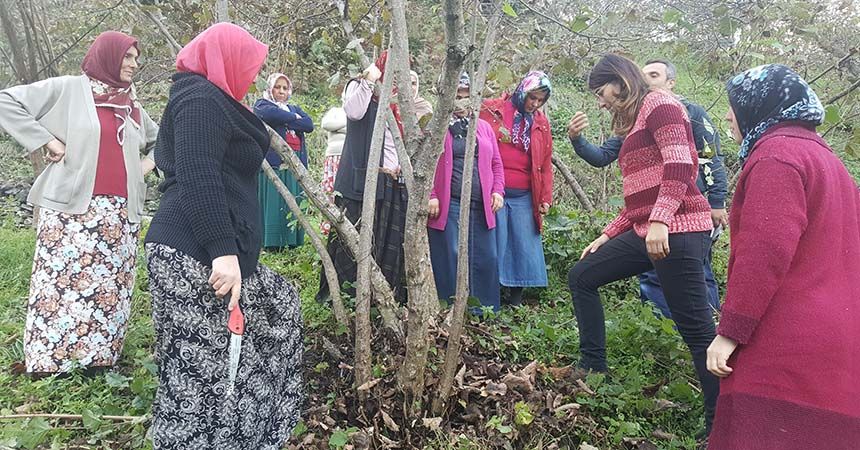Kadınlar fındıkta kaliteyi artıracak Kadınlar fındıkta kaliteyi artıracak