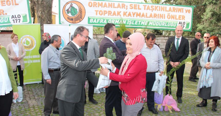 Bafra’da 16 bin fidan dağıtıldı