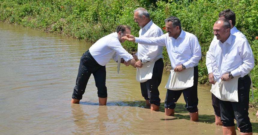 Bafra Ovası’nda çeltik tohumları suyla buluştu