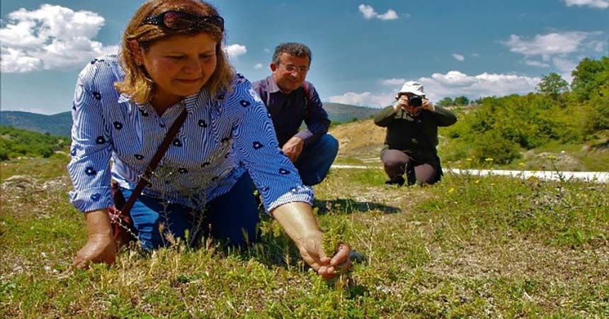 130 yıl sonra Amasya'da ortaya çıktı