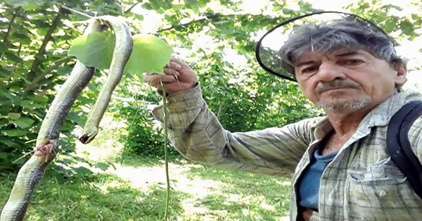 Fındık bahçelerinde görülen yılanlar korkutuyor