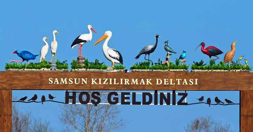 Kuş cenneti araç trafiğine kapatıldı