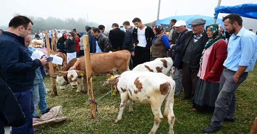 Çambaşı Yayla Şenliği 28-29 Temmuz'da