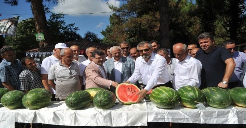 Bafra’da kavun karpuz festivali