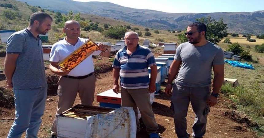 Samsun'un arıcıları göç etti!